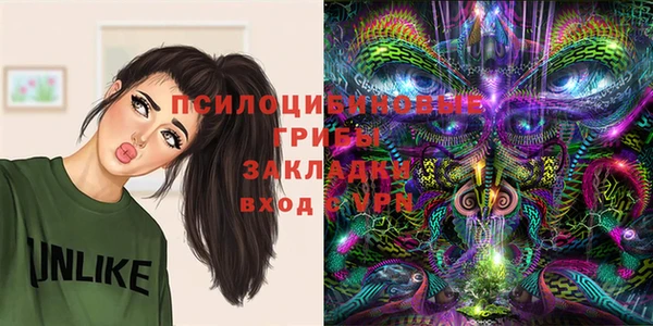 экстази Алексин