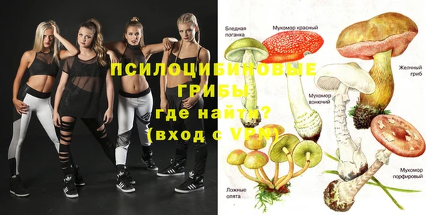 apvp Арсеньев