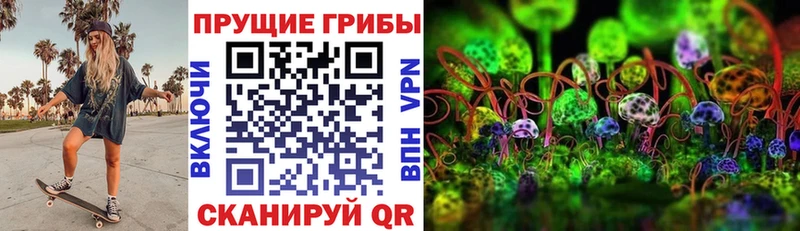 Псилоцибиновые грибы GOLDEN TEACHER дарк нет наркотические препараты Таруса